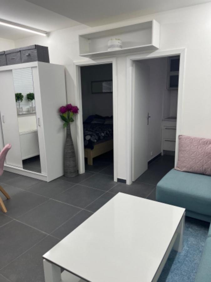 Apartmán Ubytovani-praha 9-vinor *