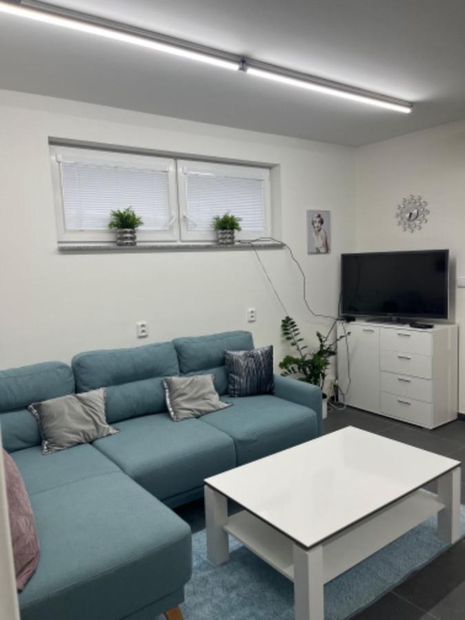 Apartmán Ubytovani-praha 9-vinor *